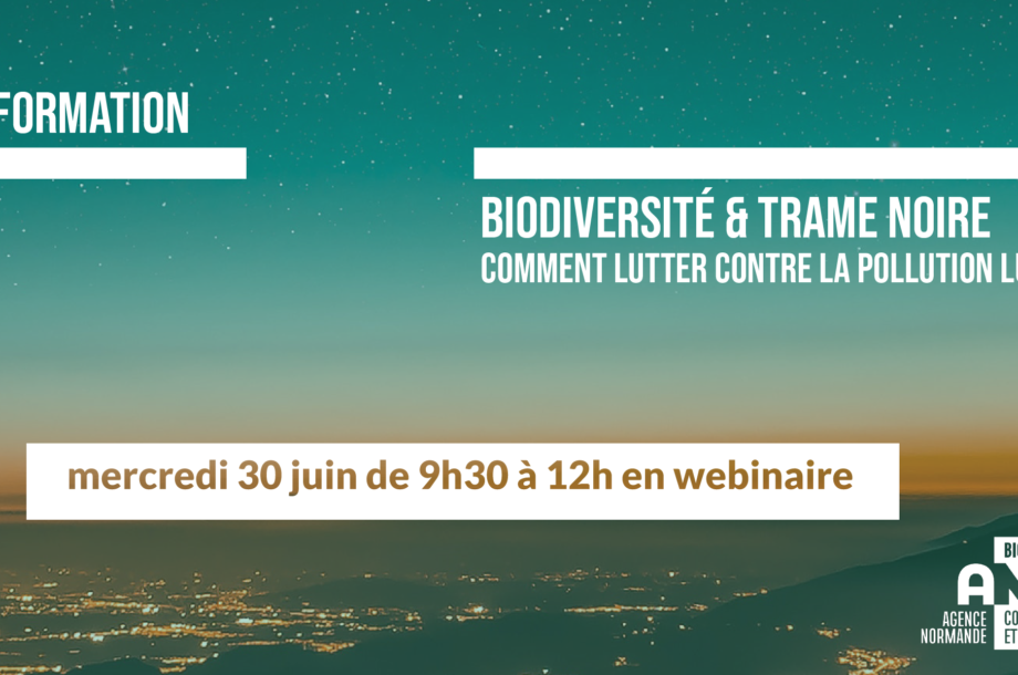 [Formation en webinaire] Biodiversité et trame noire, comment lutter contre la pollution lumineuse ? (nouvelle session)