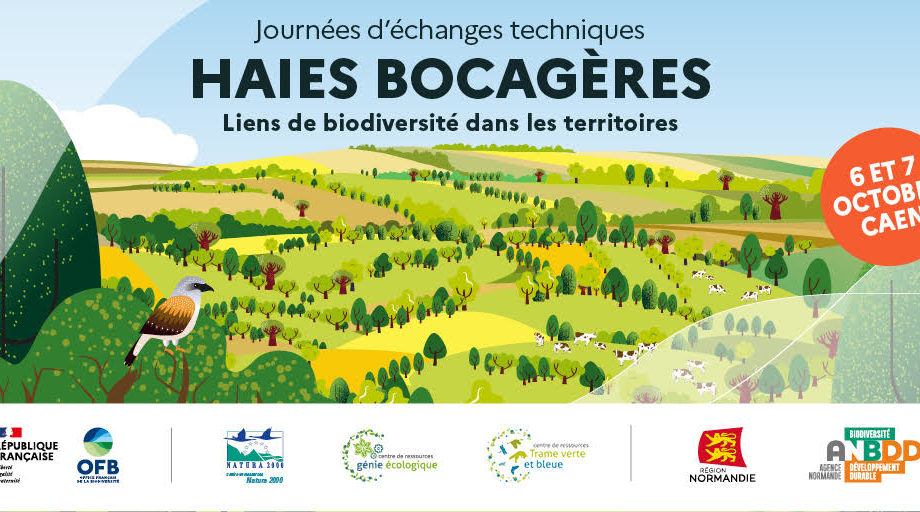 [Journées d’échanges techniques nationales] Haies bocagères : liens de biodiversité dans les territoires