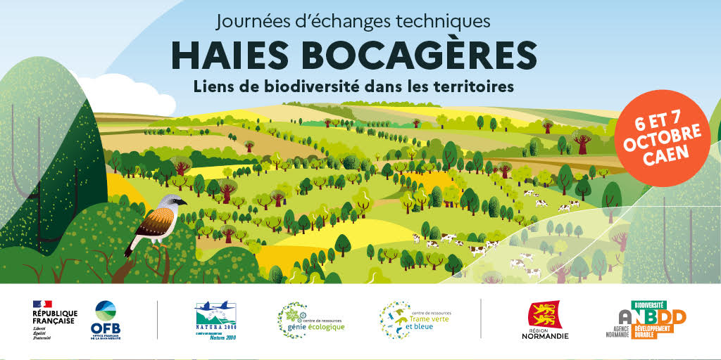 Journées d’échanges techniques – Haies bocagères : liens de biodiversité dans les territoires, 6-7 octobre 2021, Caen