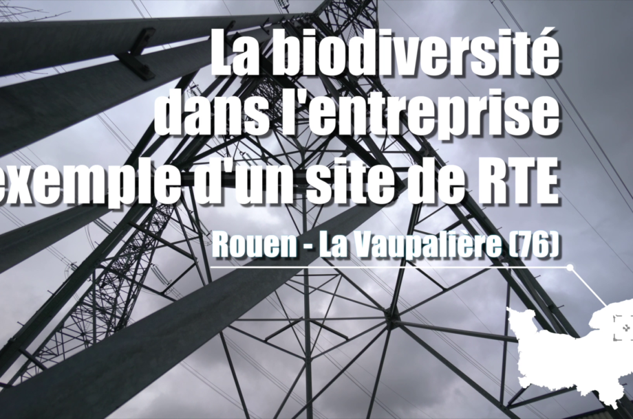 La Biodiversité dans l’entreprise : RTE, site de la Vaupalière