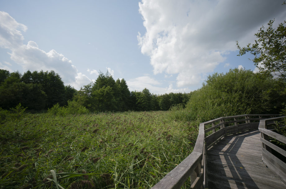 Gestionnaires d’espaces naturels