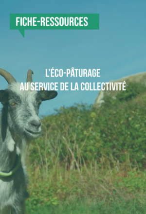 [Fiche-ressources] L’éco-pâturage au service de la collectivité