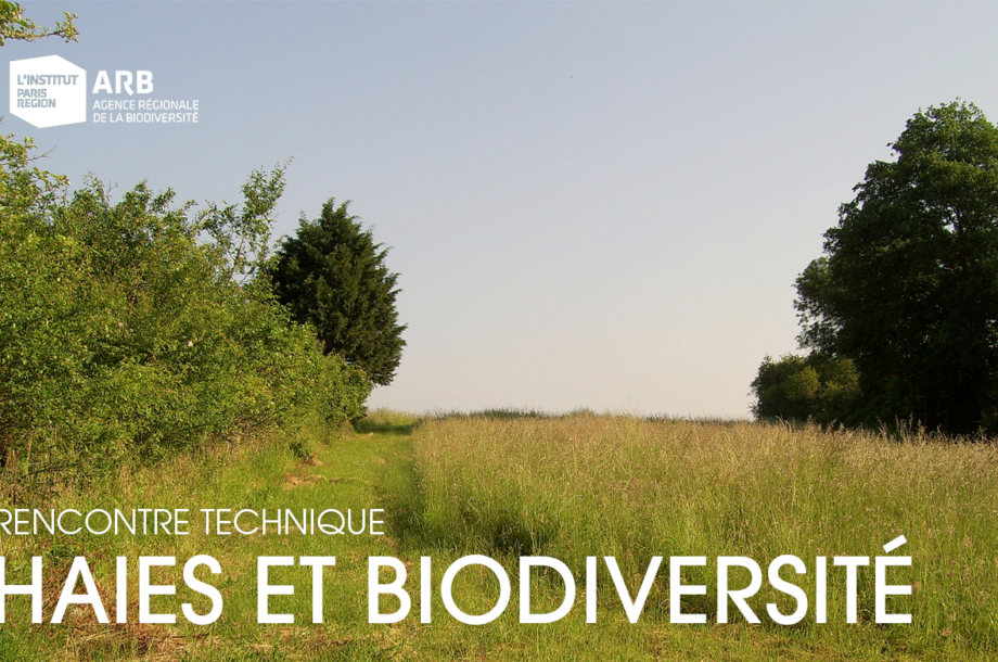 [Rencontre technique] Haies et biodiversité