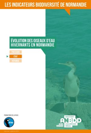 Evolution des oiseaux d’eau hivernants en Normandie