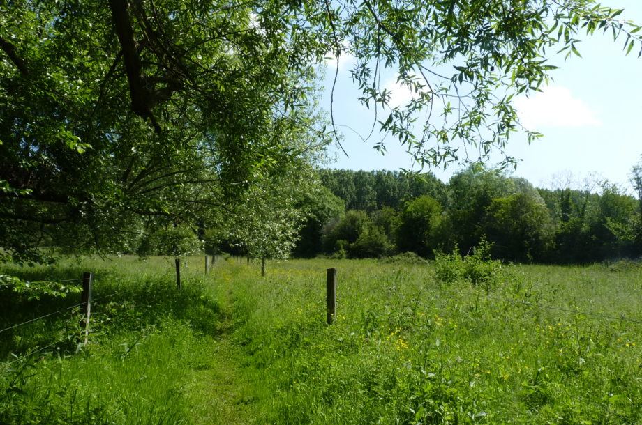 Ouverture des candidatures pour le concours « Capitale française de la biodiversité » 2022 – Thème Paysage et Biodiversité