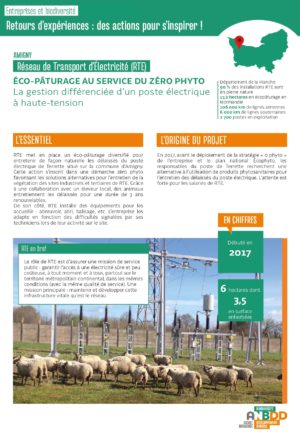 [Retours d’expériences] Éco-pâturage au service du zéro phyto : la gestion différenciée d’un poste électrique à haute-tension