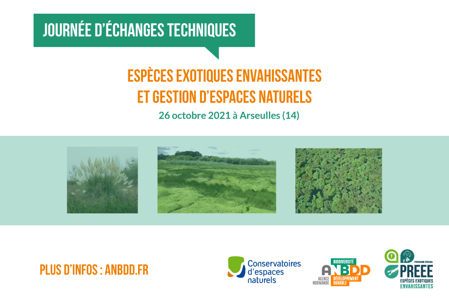 ANNULÉ [Journée d’échanges techniques] Espèces exotiques envahissantes et gestion d’espaces naturels