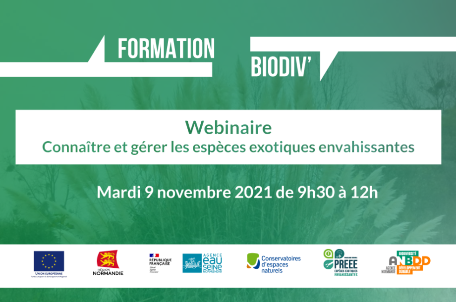 [Webinaire] Formation « Connaître et gérer les espèces exotiques envahissantes »