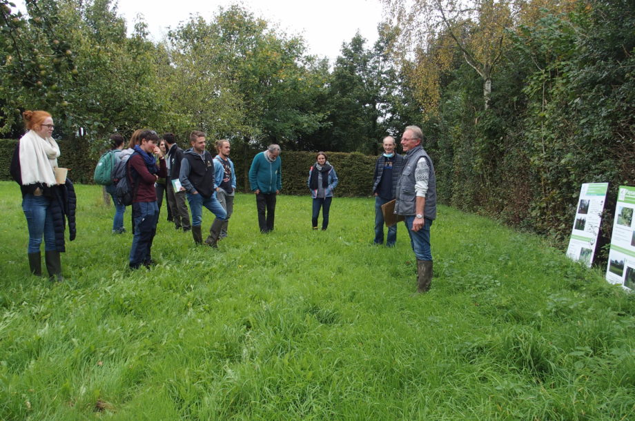 La haie au cœur de l’exploitation agricole : gestion agroforestière de deux exploitations et dynamique collective de plantation de haies et talus – 50