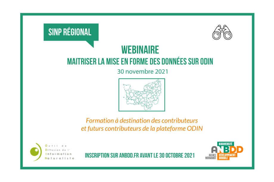 [Webinaire] Maitriser la mise en forme des données sur ODIN