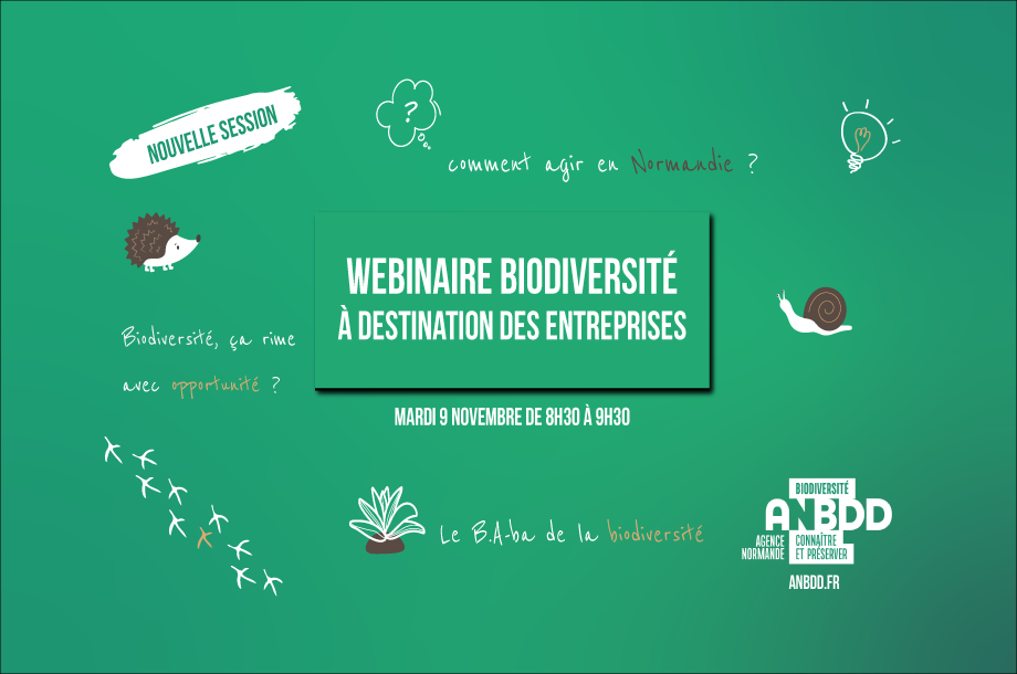 [Webinaire] Entreprises et biodiversité : comprendre pourquoi et comment agir en Normandie