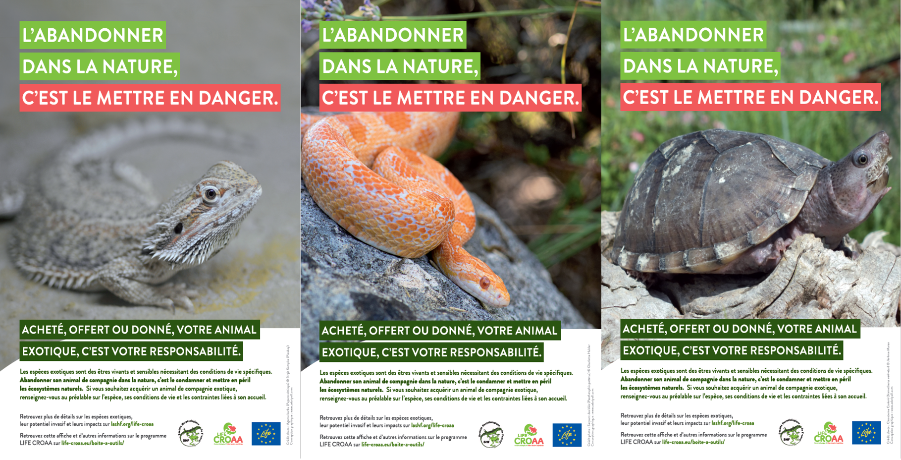 Prévenir le relâché d’espèces exotiques dans la nature : les outils de sensibilisation de la Société herpétologique de France