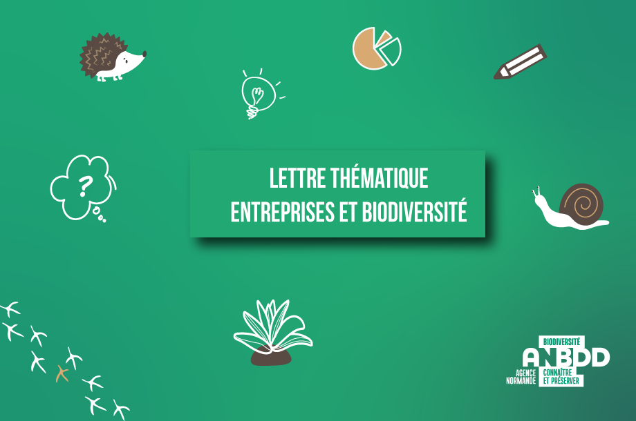 Lettre thématique : Entreprises et Biodiversité