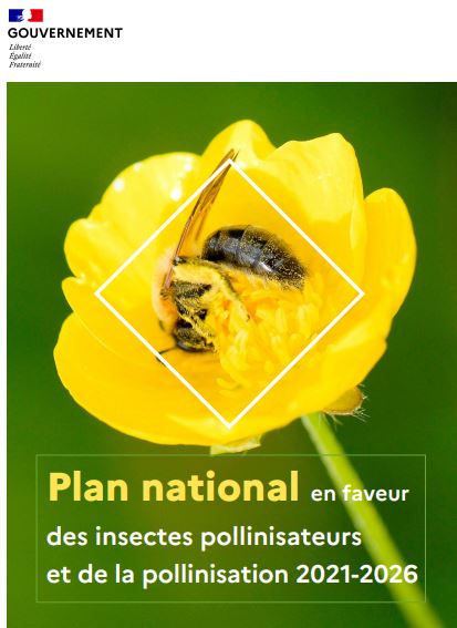 Lancement du plan national en faveur des insectes pollinisateurs et de la pollinisation 2021 : 2026 et publication d’un arrêté renforçant la protection des abeilles