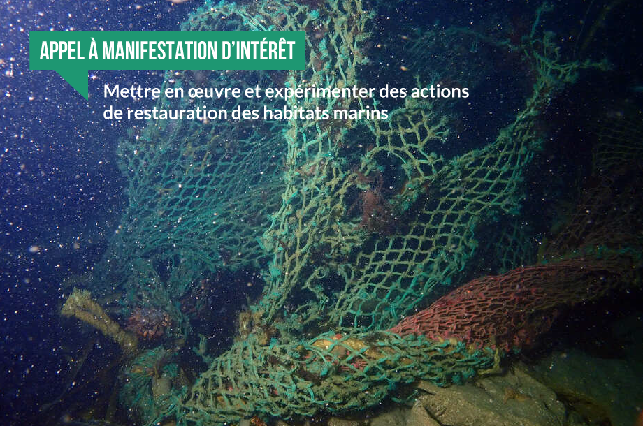 [Appel à manifestation d’intérêt] Mettre en œuvre et expérimenter des actions de restauration des habitats marins