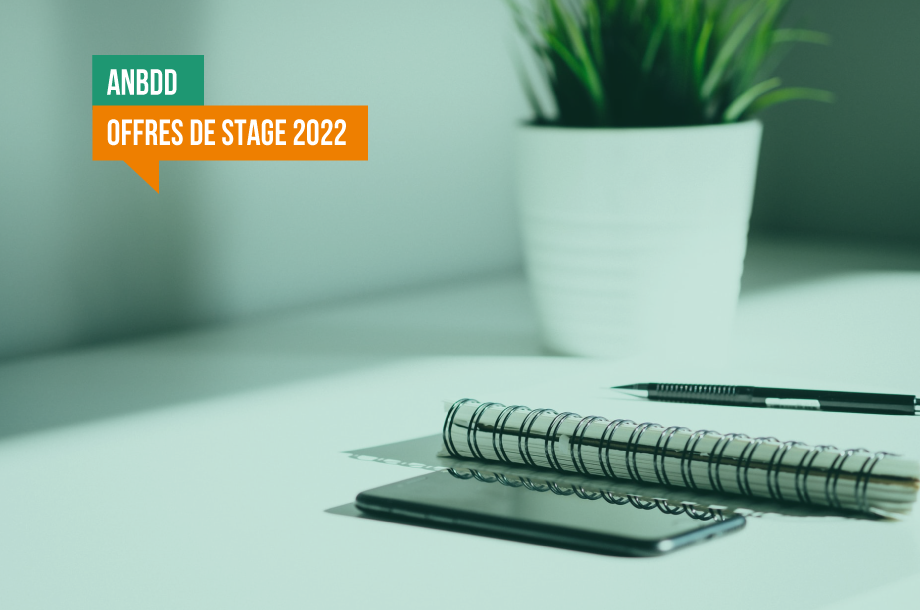 Trois offres de stage à l’ANBDD pour 2022