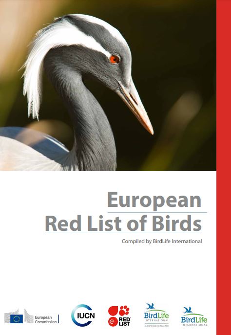 New BirdLife report: 1 in 5 bird species in Europe is threatened by extinction
