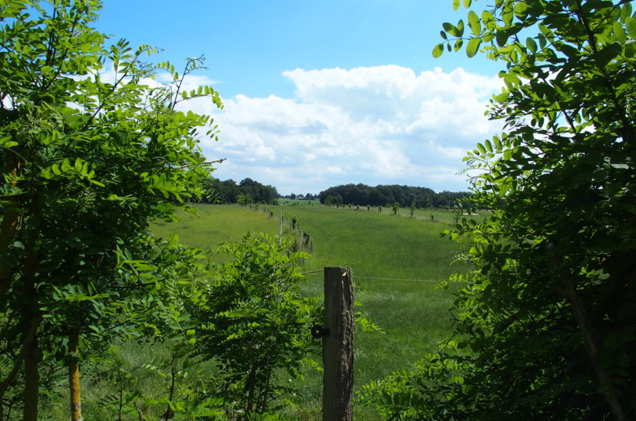 Actions en faveur de la biodiversité