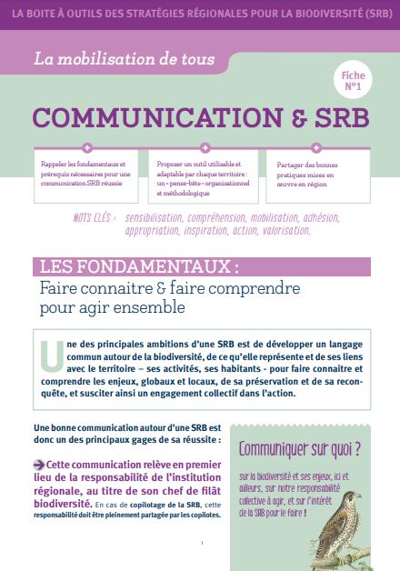 Comment réussir sa communication autour de sa stratégie régionale pour la biodiversité ?