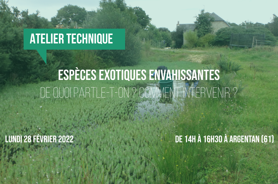 [Atelier technique] Espèces exotiques envahissantes : De quoi parle-t-on ? Comment intervenir ?