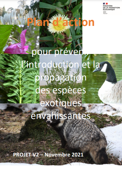 Projet de plan d’action pour prévenir l’introduction et la propagation d’espèces exotiques envahissantes