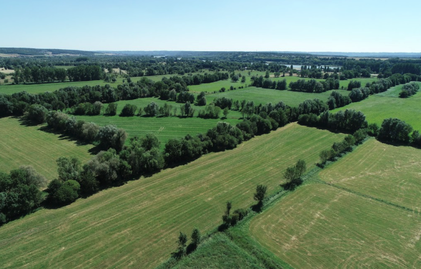 État et évolution de la densité des haies en Normandie