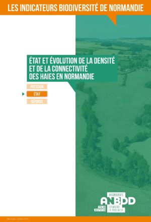 État et évolution de la densité et de la connectivité des haies en Normandie