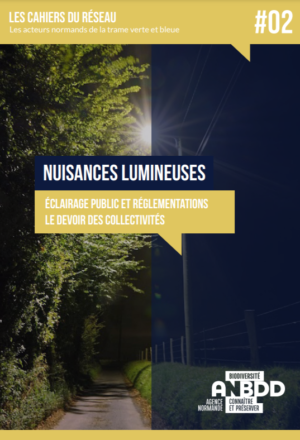 Nuisances lumineuses : Éclairage public et réglementations, le devoir des collectivités