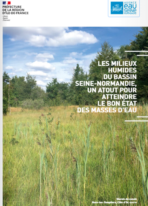 Les milieux humides du bassin Seine-Normandie, un atout pour atteindre le bon état des masses d’eau