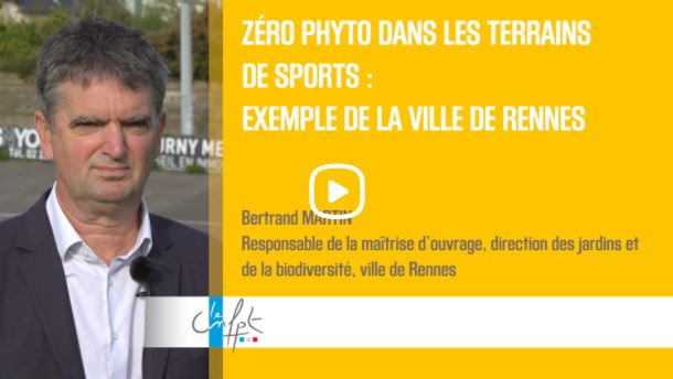 Zéro phyto dans les terrains de sports : exemple de la ville de Rennes