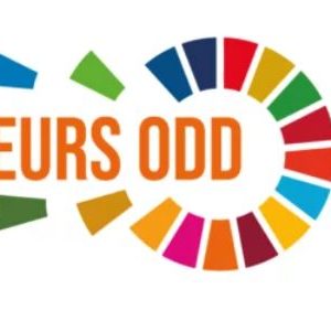 Retour sur… Webinaires d’information pour présenter la démarche Ambassadeurs des Objectifs de Développement Durable (ODD) en Normandie des 25 et 27 janvier 2022