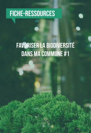 [Fiche-ressources] Favoriser la biodiversité dans ma commune #1