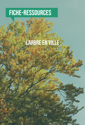 [Fiche-ressources] L’arbre en ville