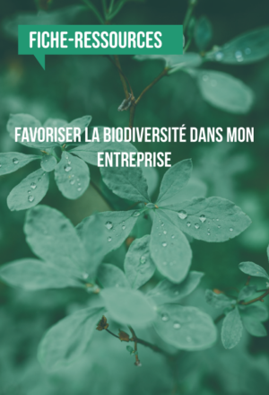 [Fiche-ressources] Favoriser la biodiversité dans mon entreprise