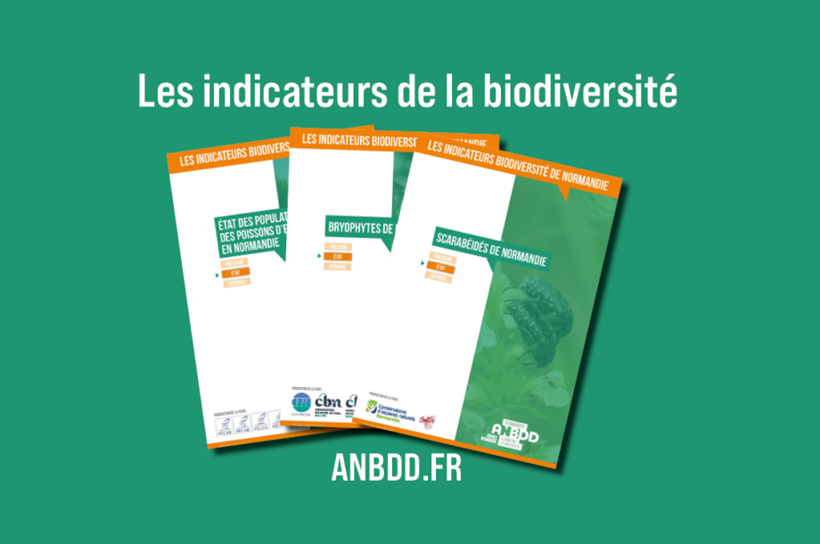 [Publication] Découvrez les 5 nouvelles fiches indicateurs de la biodiversité en Normandie