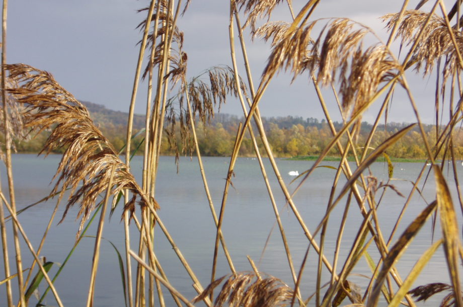 [Congrès] Le climat change, la nature change, et nous ? : Congrès des réserves naturelles de France et Forum des gestionnaires d’aires protégées 2023