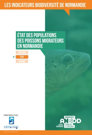 Les poissons migrateurs de Normandie