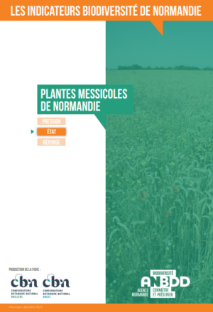 Les plantes messicoles de Normandie