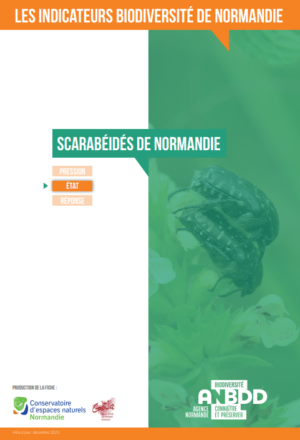 Les scarabéidés de Normandie