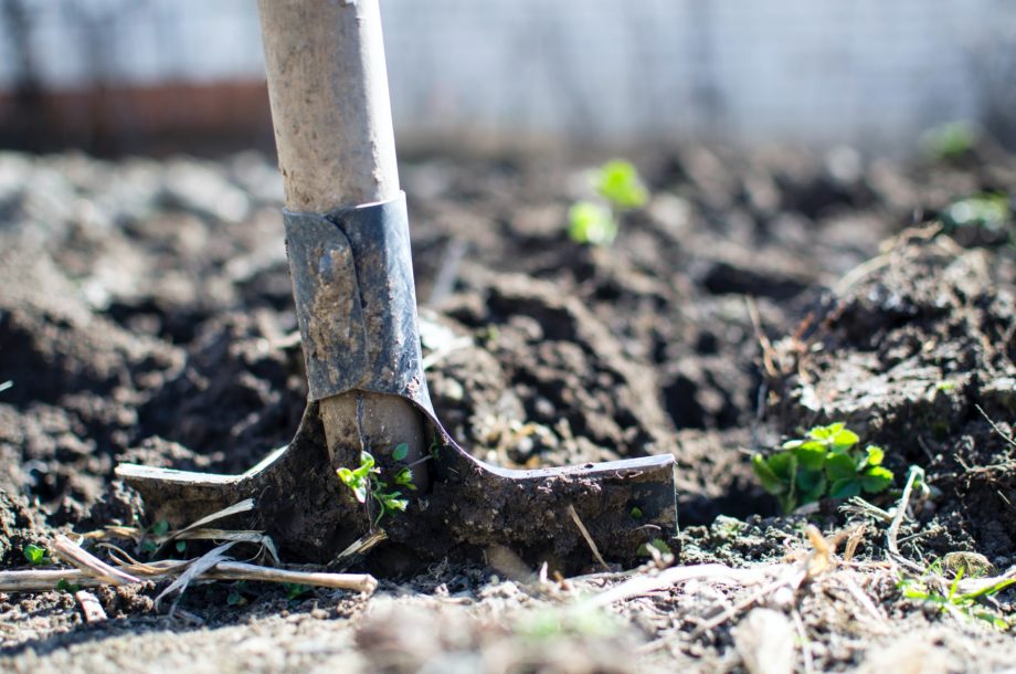 [Webinaire] Quelles sont les conditions de rentabilité des haies pour une parcelle de grande culture ou de prairie ? – #7 Restitution du projet de recherche RESP’HAIES