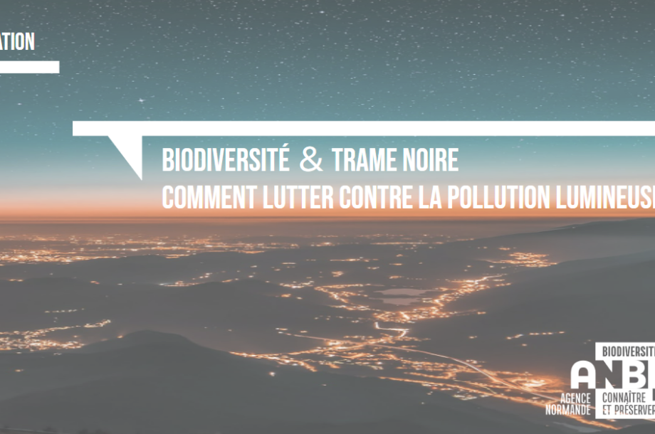[Formation] Biodiversité et trame noire, comment lutter contre la pollution lumineuse ?