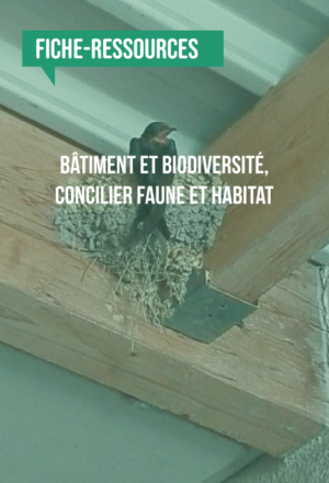 [Fiche-ressources] Bâtiment et Biodiversité, concilier faune et habitat