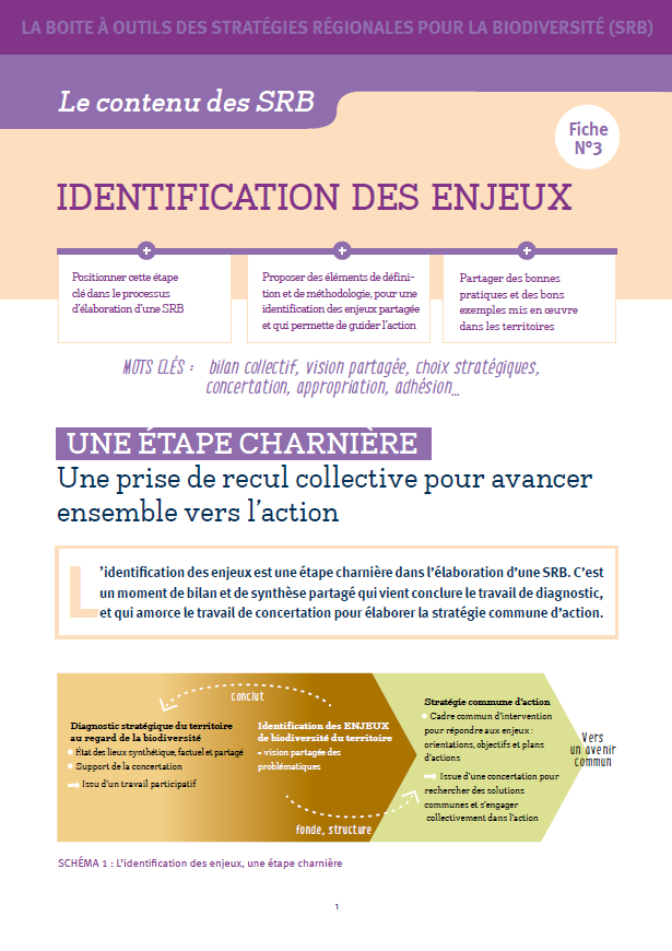 L’identification des enjeux, une étape charnière des stratégies régionales pour la biodiversité – La boite à outils des SRB – Fiche n°3