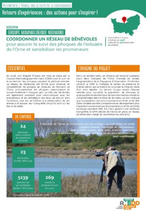 [Retours d’expériences] Coordonner un réseau de bénévoles pour assurer le suivi des phoques de l’estuaire de l’Orne et sensibiliser les promeneurs