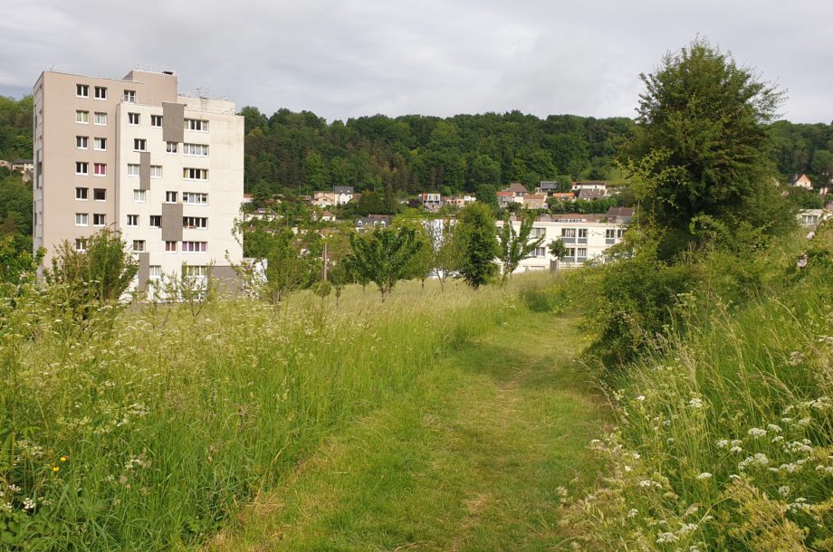 Actions sur l’accompagnement au changement