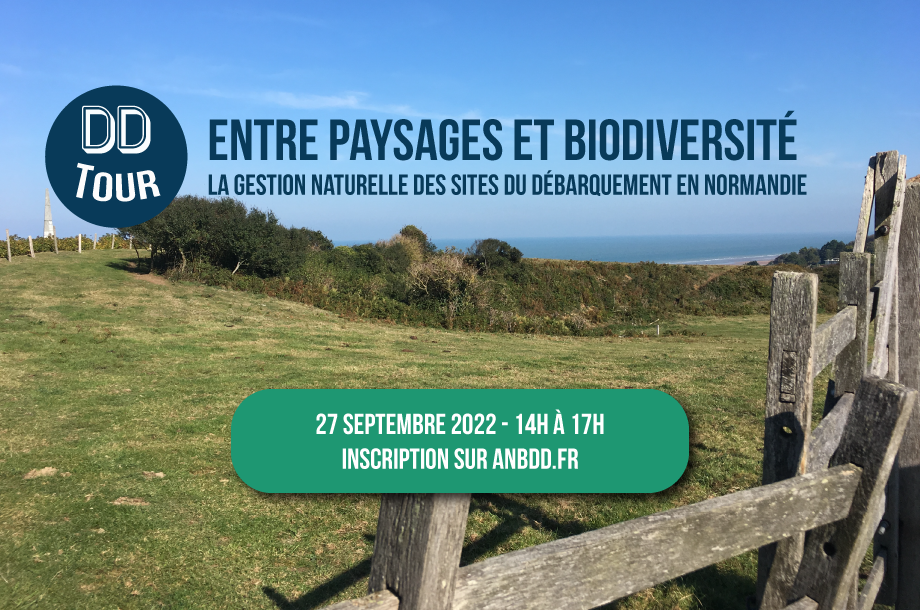 [DDTour] Entre paysages et biodiversité : La gestion naturelle des sites du débarquement en Normandie