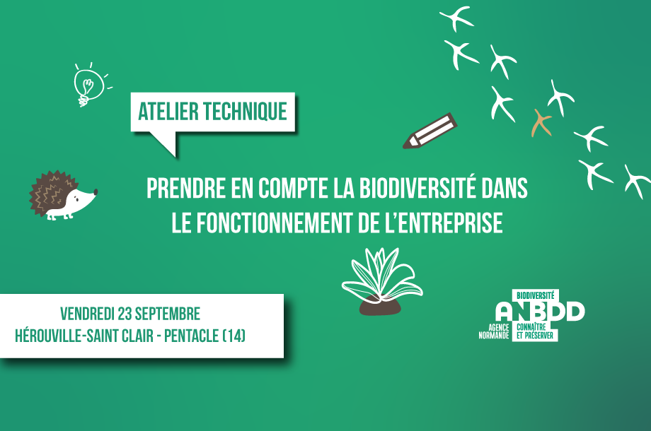 [Atelier technique] Prendre en compte la biodiversité dans le fonctionnement de l’entreprise