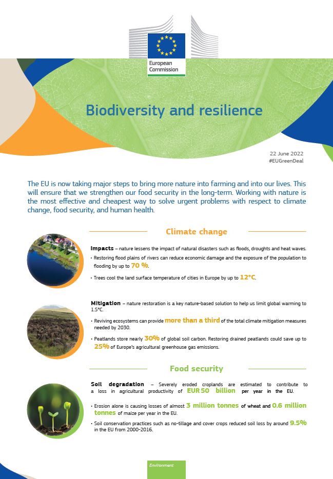 Biodiversity and resilience