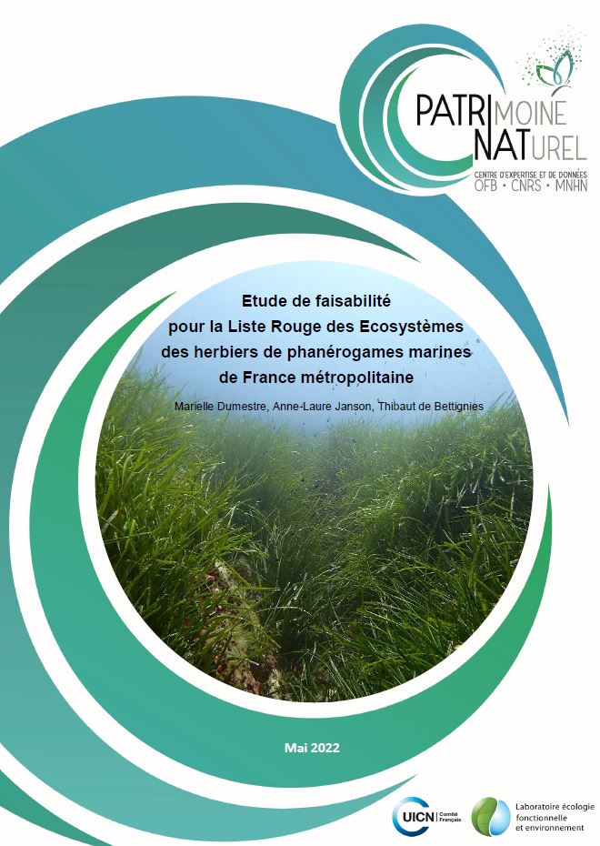 Étude de faisabilité pour la Liste Rouge des écosystèmes des herbiers de phanérogames marines de France métropolitaine. Rapport