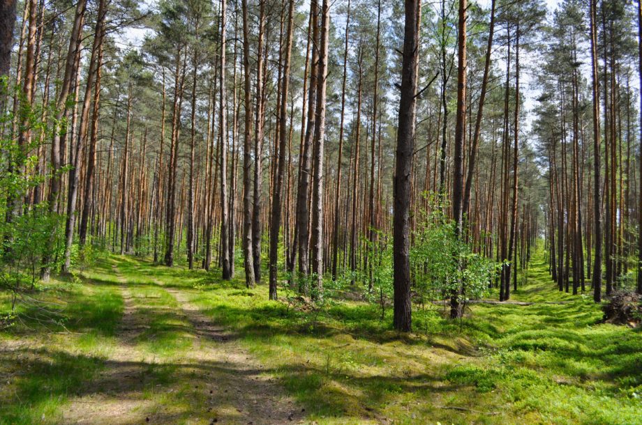 Annuaire des acteurs normands du changement climatique